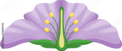 Illustration of a Purple Flower Anatomy
