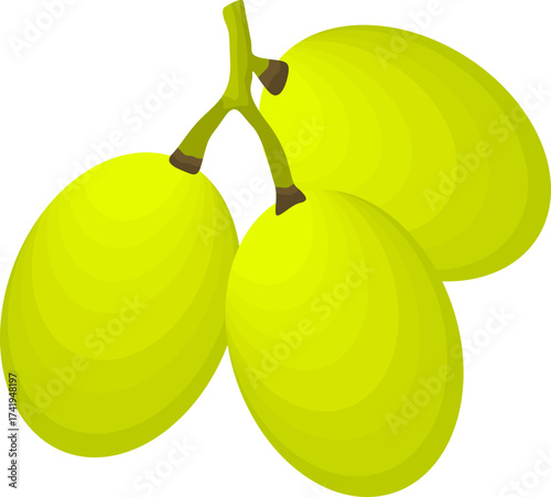 Illustration of Three Green Olives on a Branch