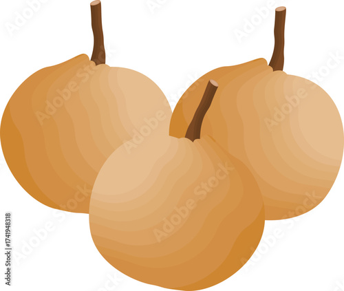  Illustration of Three Asian Pears