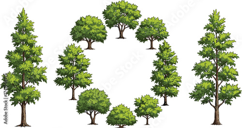 Green trees illustration with circle arrangement, natural forest elements, deciduous foliage, landscape design, outdoor park scene, woodland background, eco-friendly vegetation
