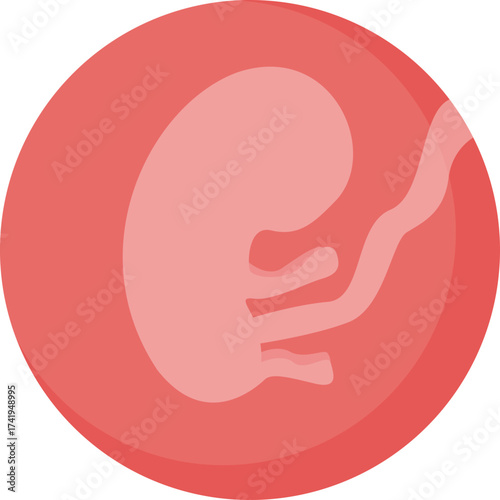 Illustration of a Human Embryo in Uterus