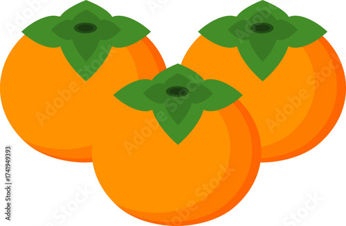 Illustration of Three Persimmon Fruits
