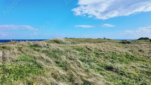 秋晴れの尻屋埼の風景　青森県東通村　9月末