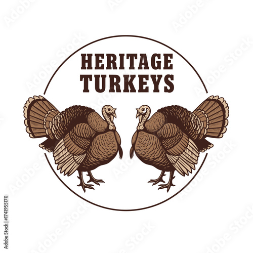 turkey farm animal nature wildlife animal rural heritage gobbler