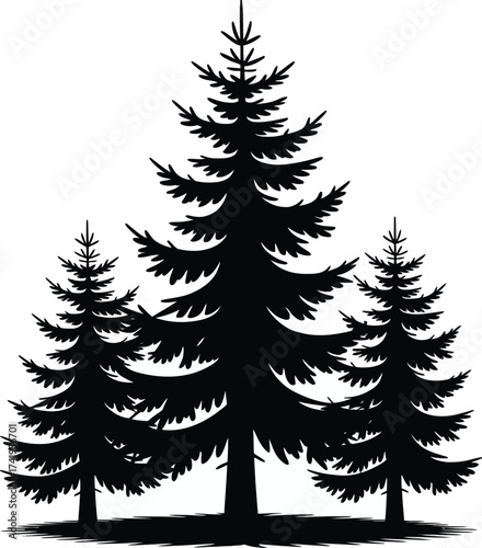 Black pine tree cluster illustration with detailed branches on transparent background silhouette