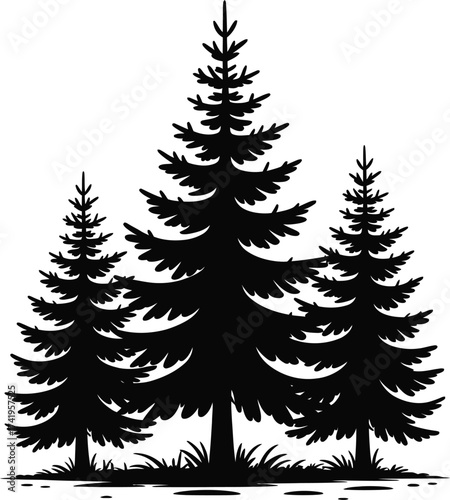 Three evergreen trees in a forest a striking dark silhouette on transparent background