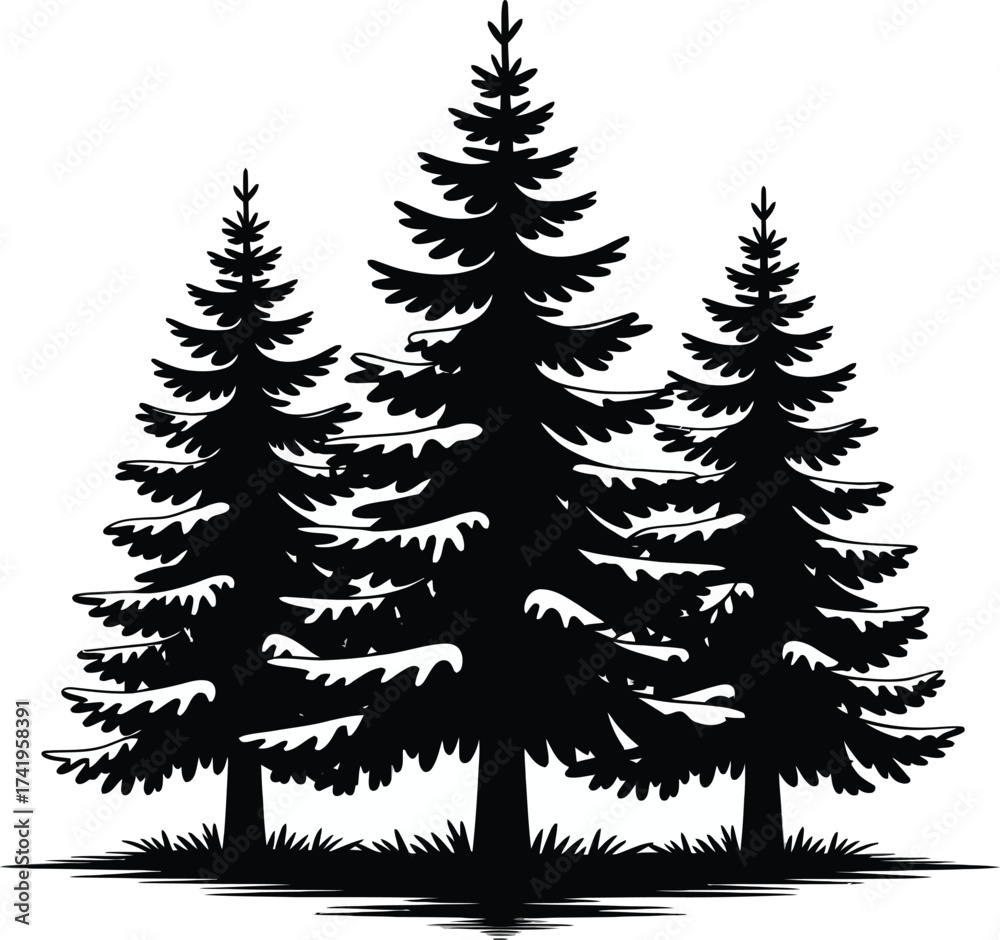 Obraz premium Three evergreen trees in a stark design on transparent background silhouette