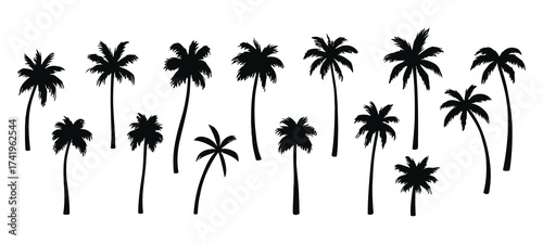 Set of Black Vector Palm Tree Silhouettes with Different Shapes and Heights, Ideal for Tropical, Summer, Beach, and Travel Graphic Design Elements and Logos

