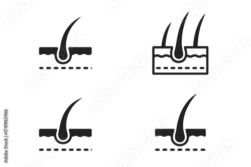 Hair follicle icon set. Scalp and skin layer symbol. Vector illustration for dermatology, hair growth, loss, and treatment. Medical anatomy concept for trichology and clinics.