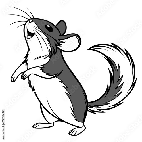 White back ground a black and white illustration of a chinchillas face.