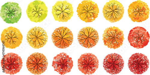 Top view autumn trees illustration, seasonal foliage design with green, yellow, orange, and red leaves, perfect for landscape, nature, decoration.