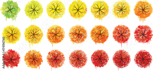 Top view colorful autumn trees illustration, seasonal foliage design, fall leaves in gradient shades of green, yellow, orange, and red.