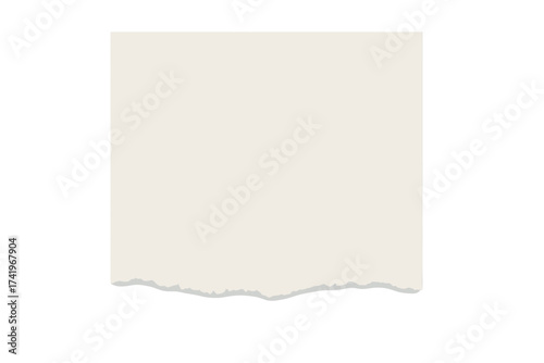 Torn paper edge on transparent background. Ripped blank page with copy space. Realistic vector illustration of a beige cardboard scrap or parchment sheet. Grunge design element.