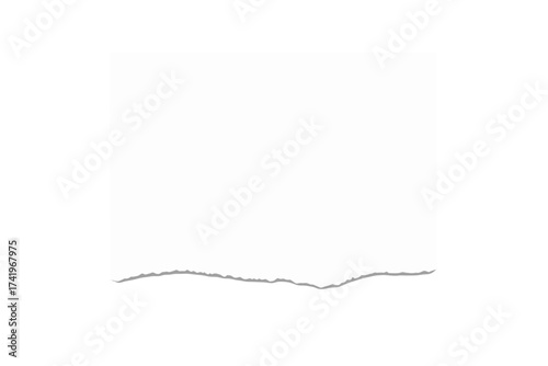 Torn half sheet of blank white paper with a ripped bottom edge. Realistic vector illustration isolated on a transparent background. Design element template for a note or scrap.