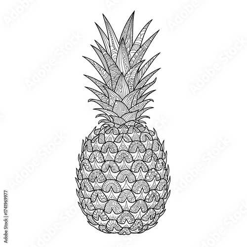 A detailed black and white illustration of a ripe pineapple fruit with its crown of spiky leaves.