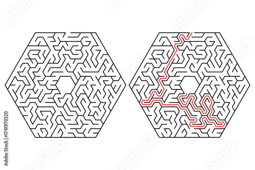 Vector Hexagonal delta maze or labyrinth game with Included Solution. New idea find, creative maze puzzle
