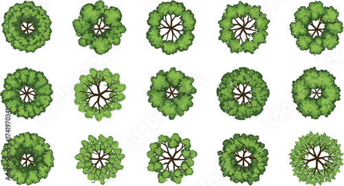Top view green tree crowns, detailed foliage illustration, landscape design plants, natural garden elements, outdoor park trees, leafy round vegetation.