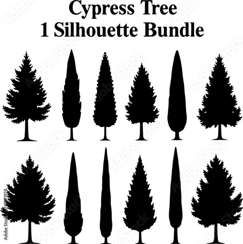 Cypress Tree Silhouette Bundle