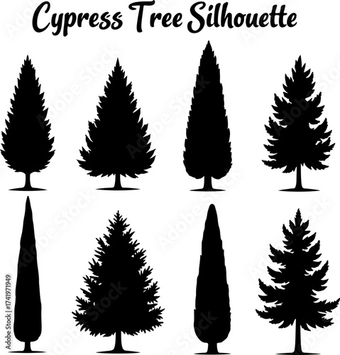 Cypress Tree Silhouette Bundle
