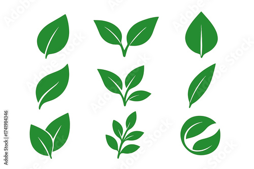 Green leaf icon set. Nature symbol collection. Vector illustration. Plant leaves for ecology, organic, bio, vegan logo. Environment and eco friendly design element. Fresh.