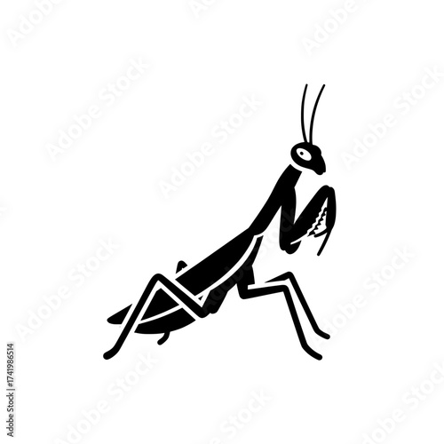 Praying Mantis Insect Silhouette Isolated on White Background.