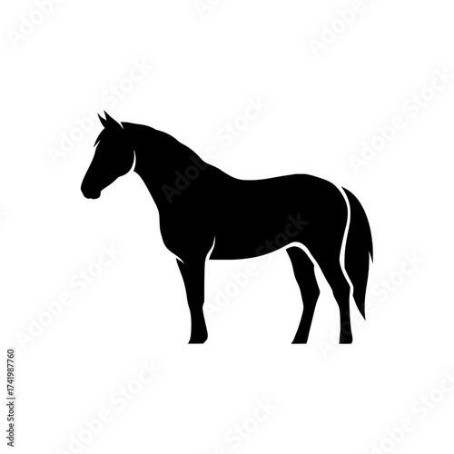 Silhouette of a horse standing on a white background black horse.