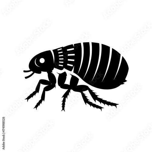 Black and white illustration of a flea insect side view isolated on white background.