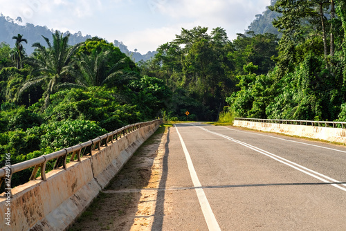 Empty road bridge near the rainforest jungle during morning sunrise.