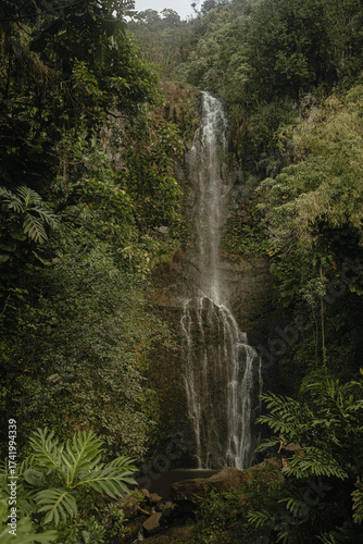 Tall jungle waterfall cascades into rocky pool in lush Maui forest