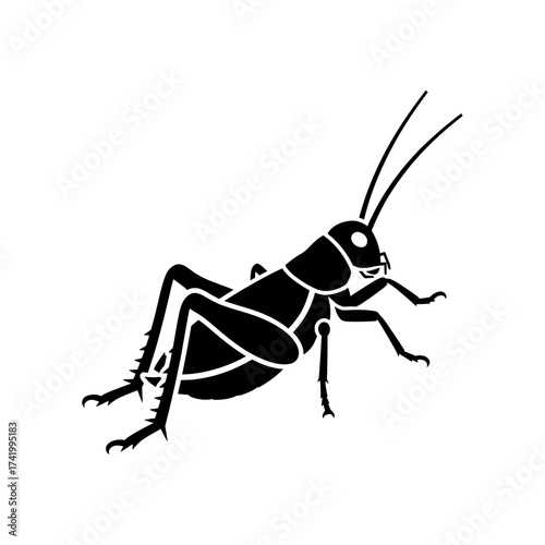 Black and white illustration of a grasshopper insect on a white background.