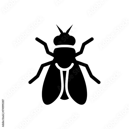 Black fly insect icon isolated on white background simple vector illustration.