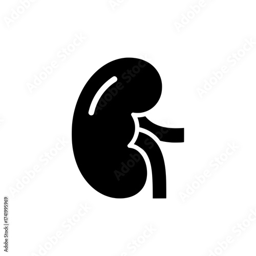 Kidney organ icon black silhouette of human kidney medical symbol.