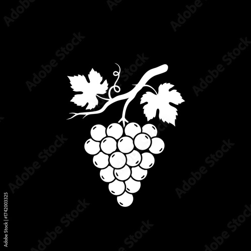 Stylized white grape cluster with leaves and vine on a black background vector illustration.