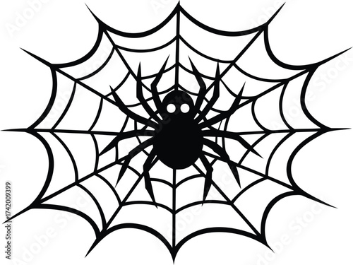 spider on web