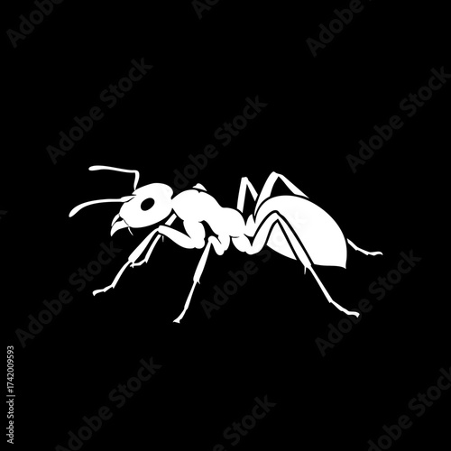 Detailed white ant silhouette vector illustration on black background.