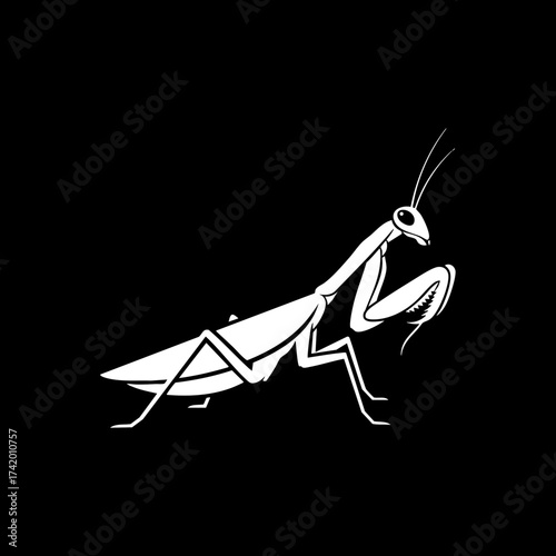 Elegant praying mantis insect silhouette vector illustration on black background 1.