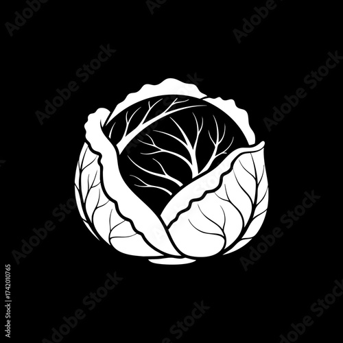 Stylized white cabbage head illustration on black background.