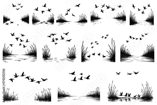 Black silhouette flock of ducks flying over water with reeds