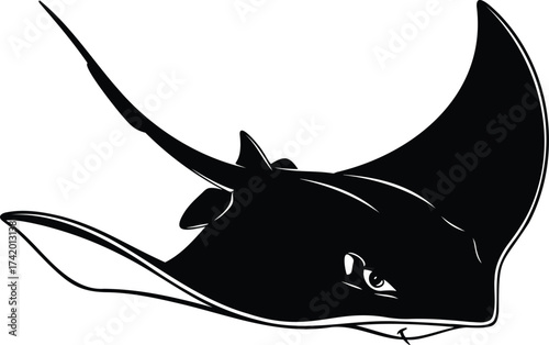 Manta ray swimming, an aggressive marine animal mascot vector