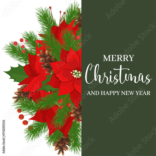 Merry Christmas card with holly red flower fi tree branches Happy Holidays composition