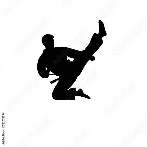 Dynamic silhouette of martial artist executing powerful flying kick, showcasing strength and agility with elegance, perfect for fitness and sports brands