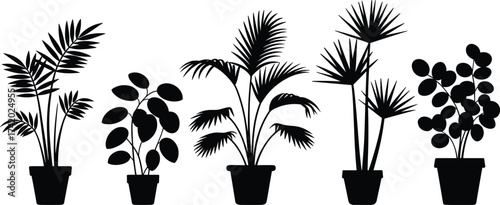 Black and white potted plant silhouettes collection, tropical houseplants vector art, minimalist botanical design, modern eco home decor illustration