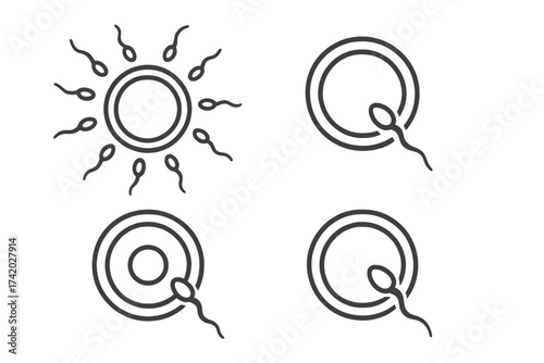 Fertilization and conception icon set. Sperm fertilizing ovule. Human reproduction, pregnancy, fertility gynecology clinic concept. Vector line art for medical and science design.