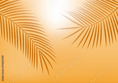 Palm leaves in sunlight. Dawn. Background