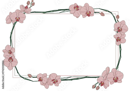 Elegant Pink Orchid Frame Border Design.