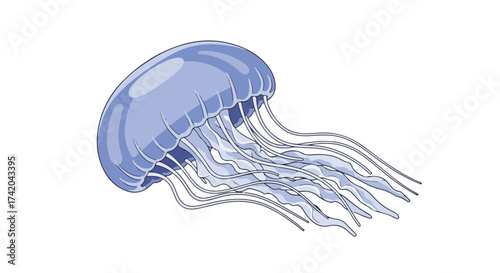 A serene illustration of a jellyfish gracefully gliding through the water current it's delicate tentacles trailing behind it evoking the mysteries