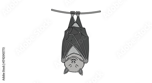 Monochrome Illustration of a Relaxed Bat Hanging Upside Down from a Branch Depicting Nocturnal Mammal, Wildlife and Peaceful Sleep, Line Art