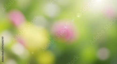 Abstract blurred background of flowers and sunlight bokeh