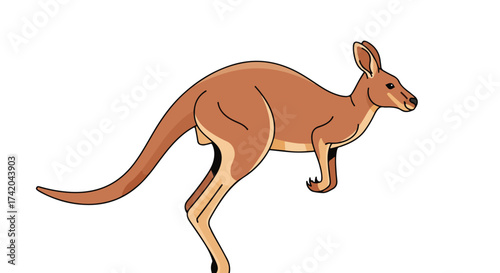 Kangaroo illustration in mid-leap against a clean white canvas showcasing australian wildlife and distinctive locomotion, emphasizing movement and