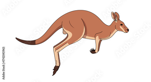 Animated depiction of a kangaroo in mid-leap showcasing the distinctive anatomy and motion of the marsupial gracefully moving across a plain white